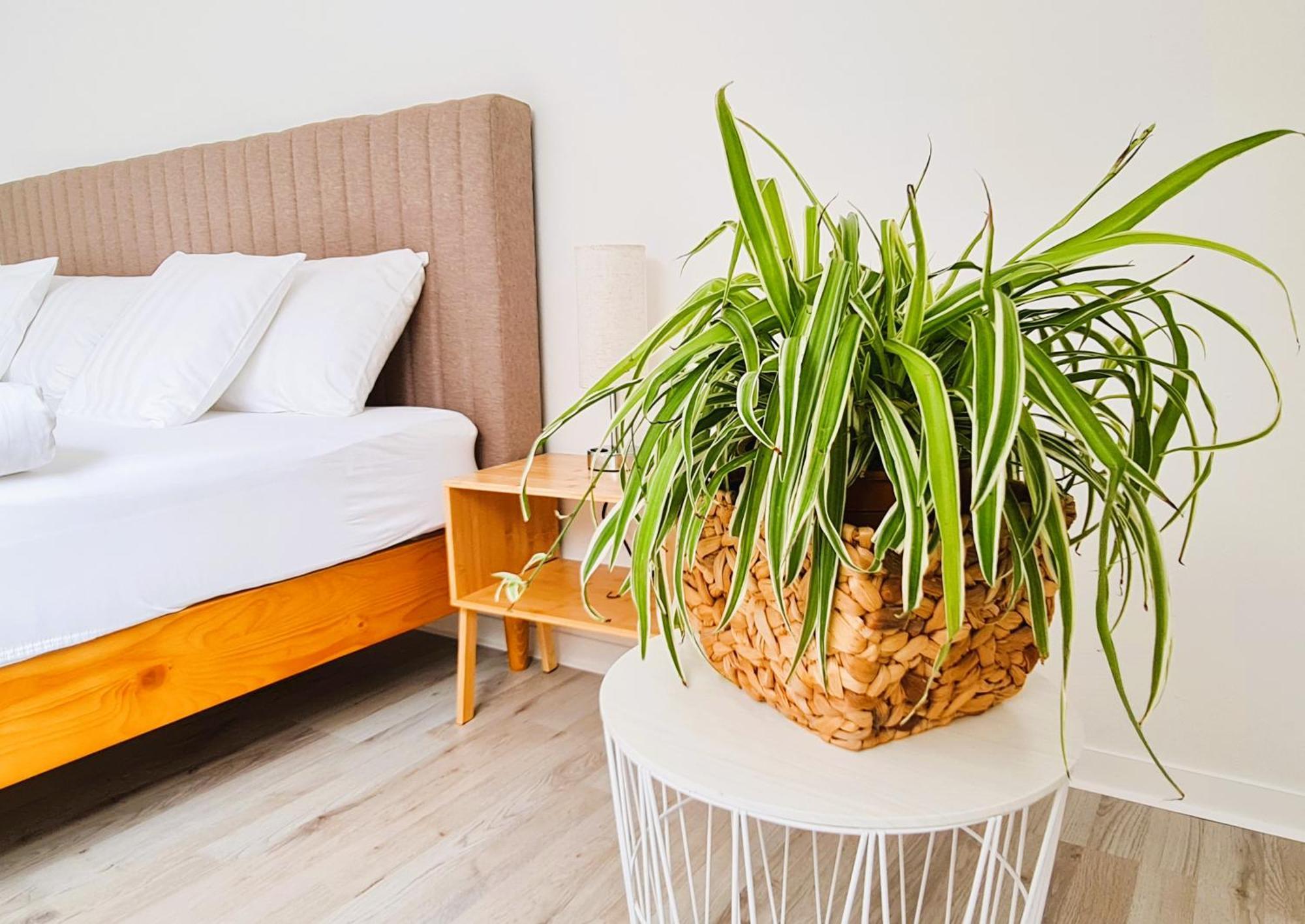Apartment Naehe Airbus Manching Esterno foto